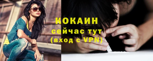 прущие крисы Чердынь