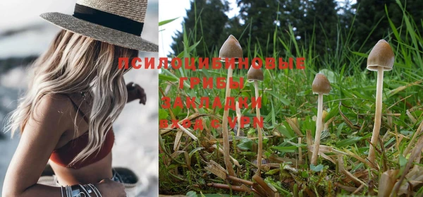 бутират Балахна
