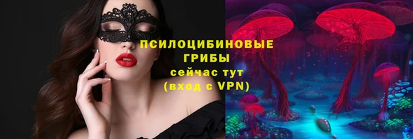 apvp Чекалин