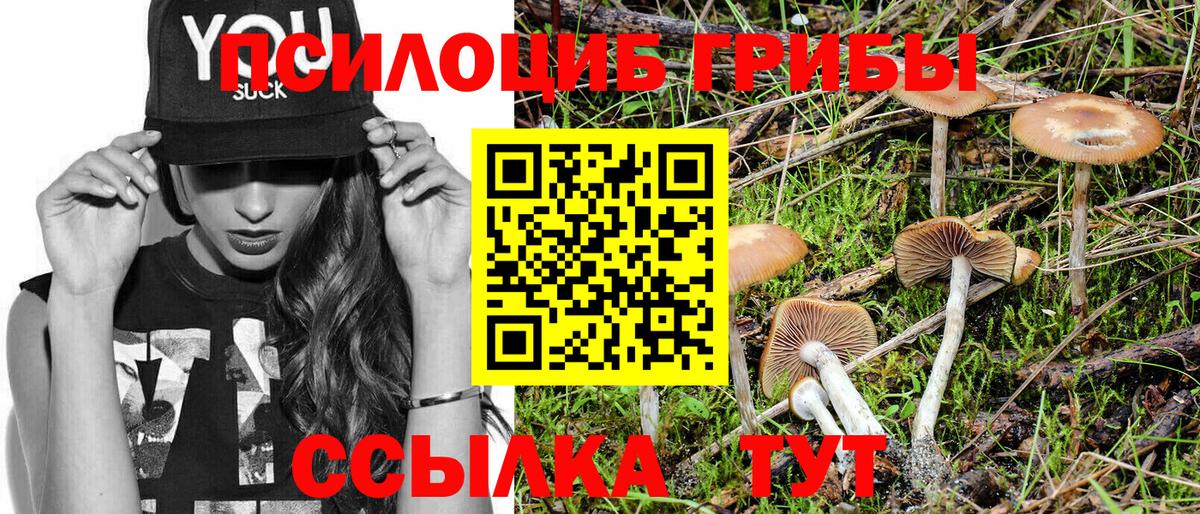 Псилоцибиновые грибы Magic Shrooms  Псилоцибиновые грибы MAGIC MUSHROOMS  даркнет сайт  Белово 