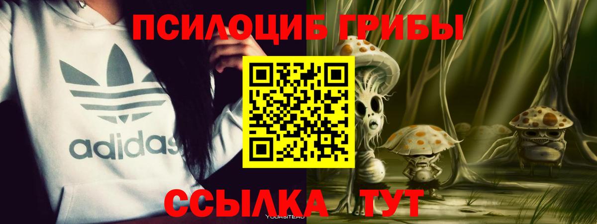 Псилоцибиновые грибы Magic Shrooms  Галлюциногенные грибы мицелий  Вход с VPN  Белово 